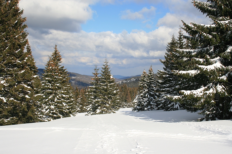 Turbacz 22.03.08 103